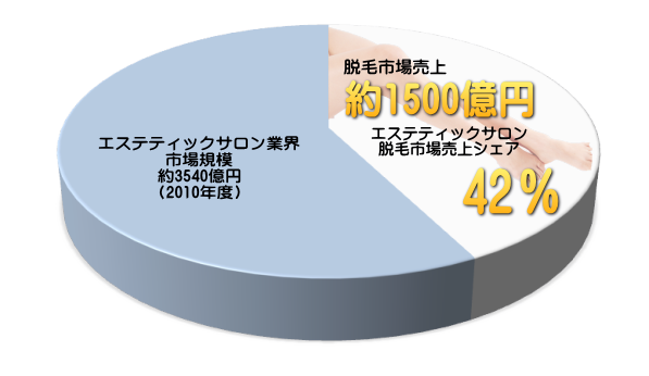 脱毛市場が美容業界総売上の42％